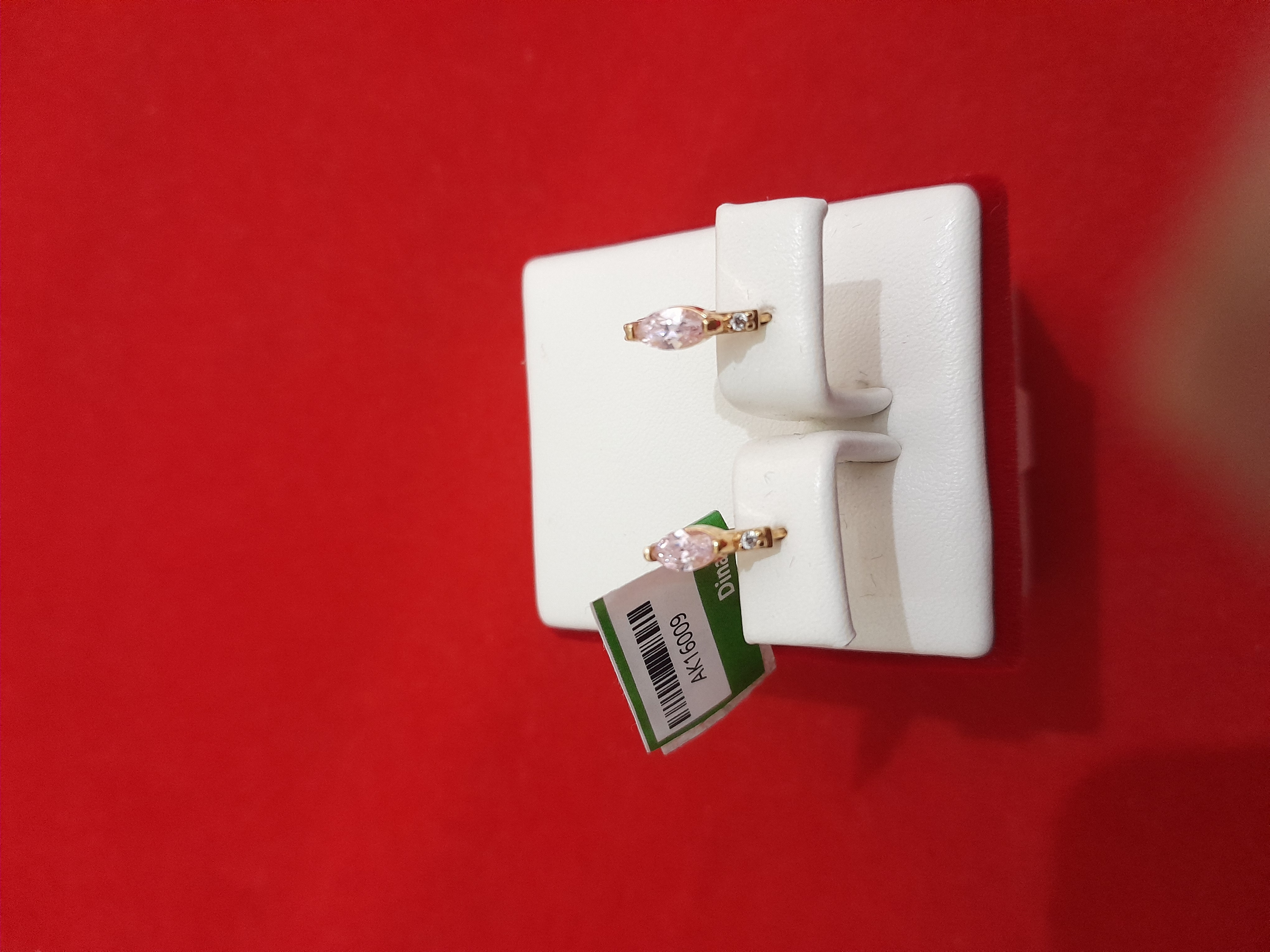 ANTING