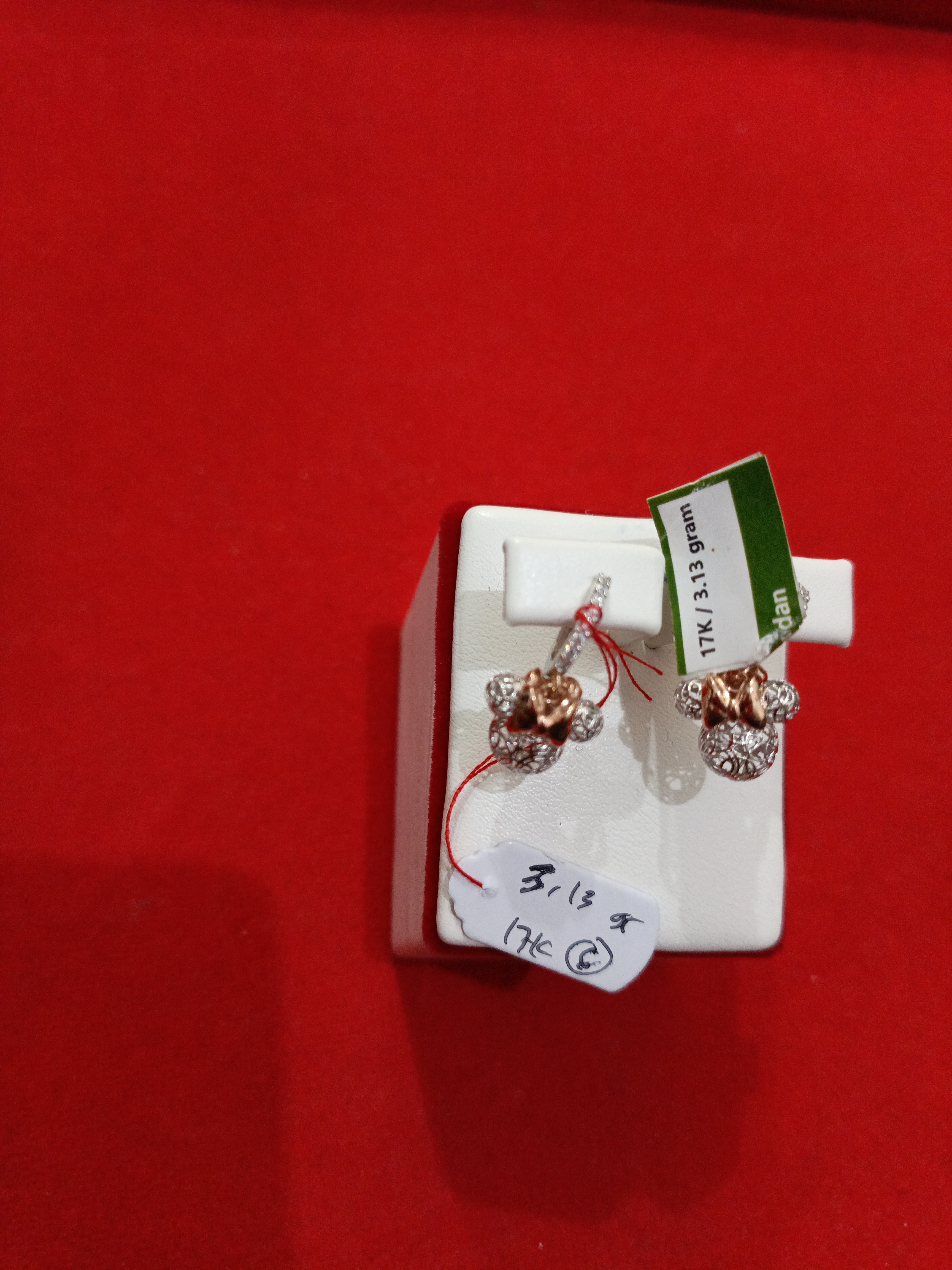 ANTING