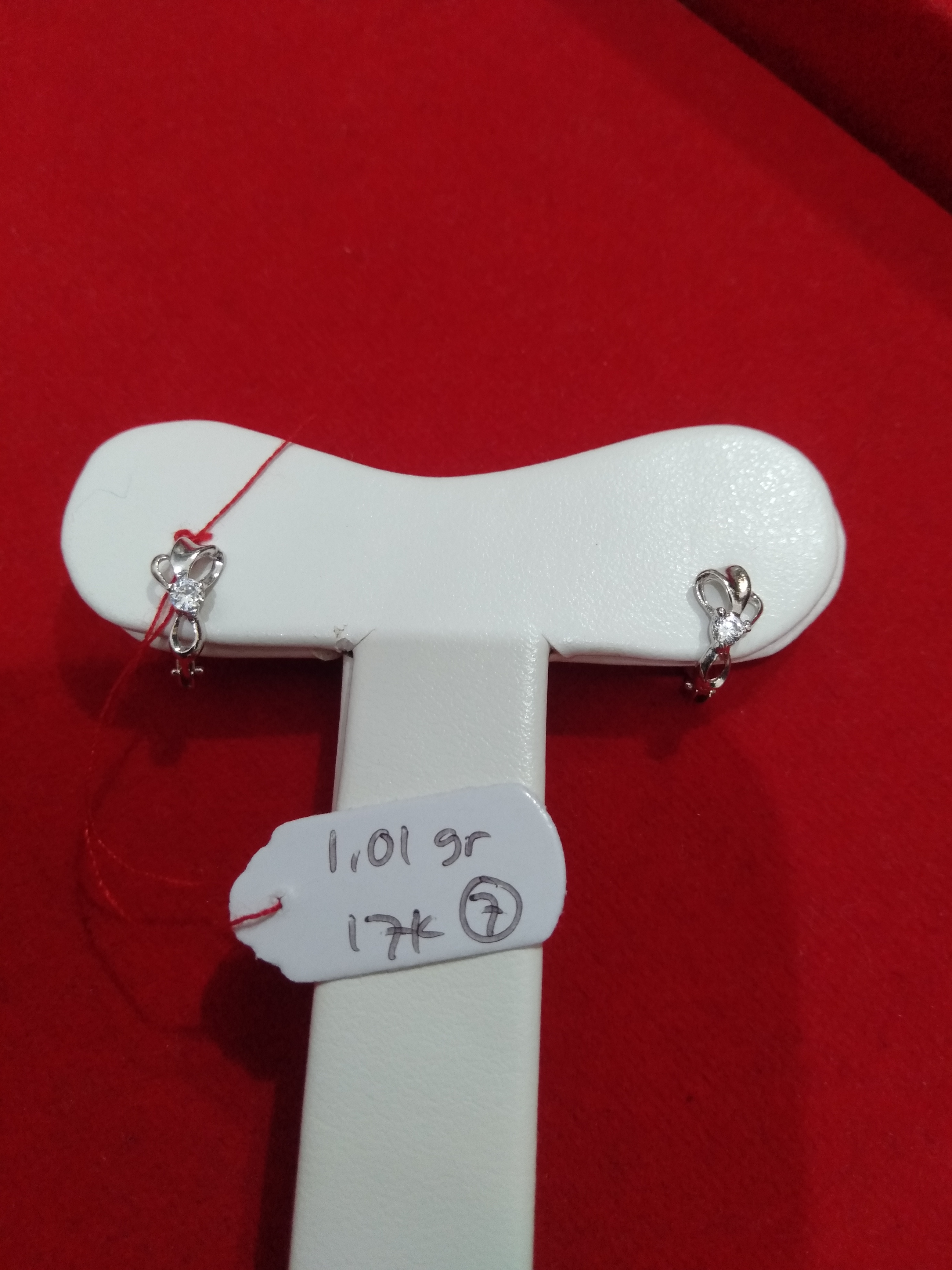 ANTING