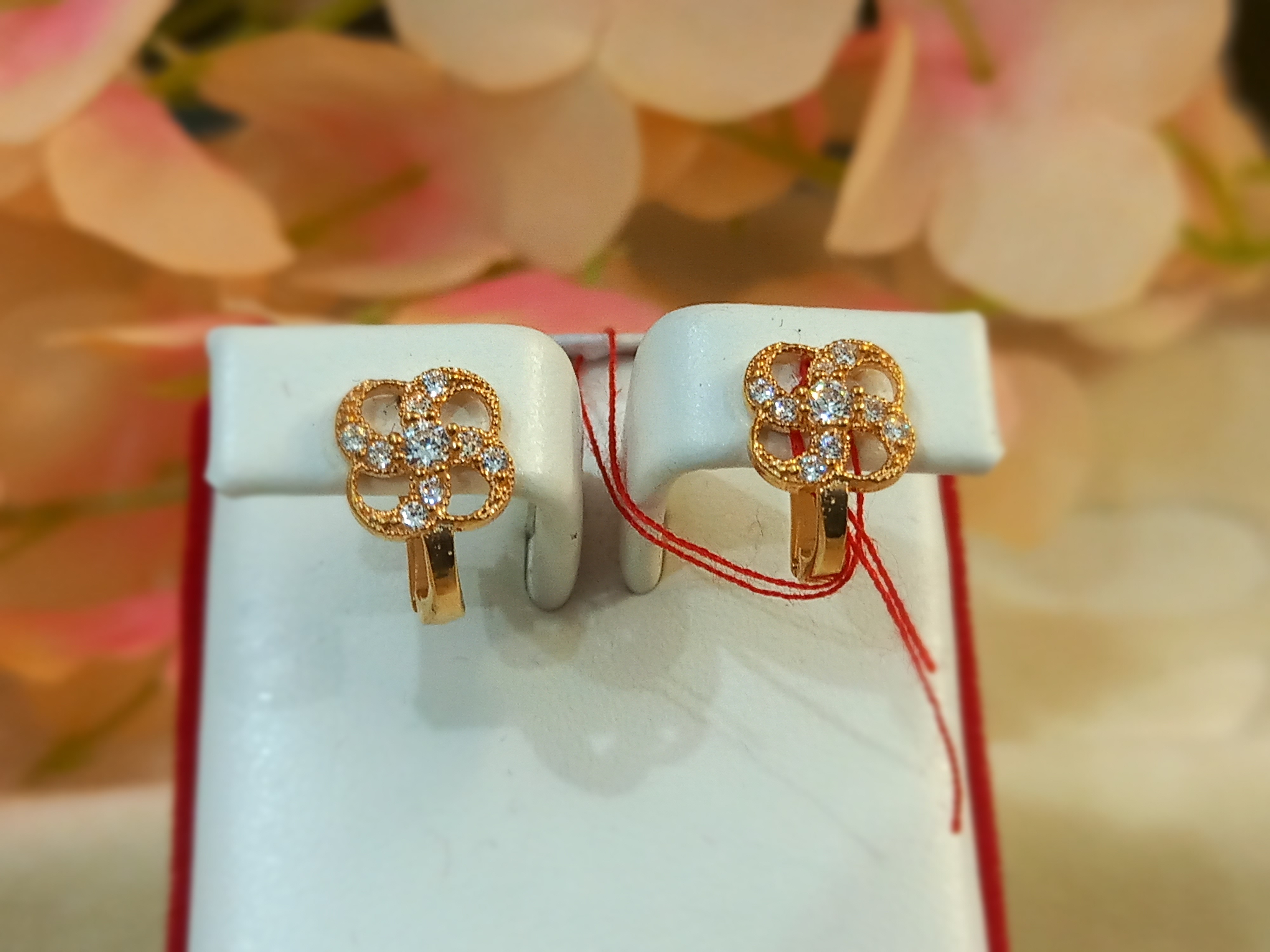 ANTING