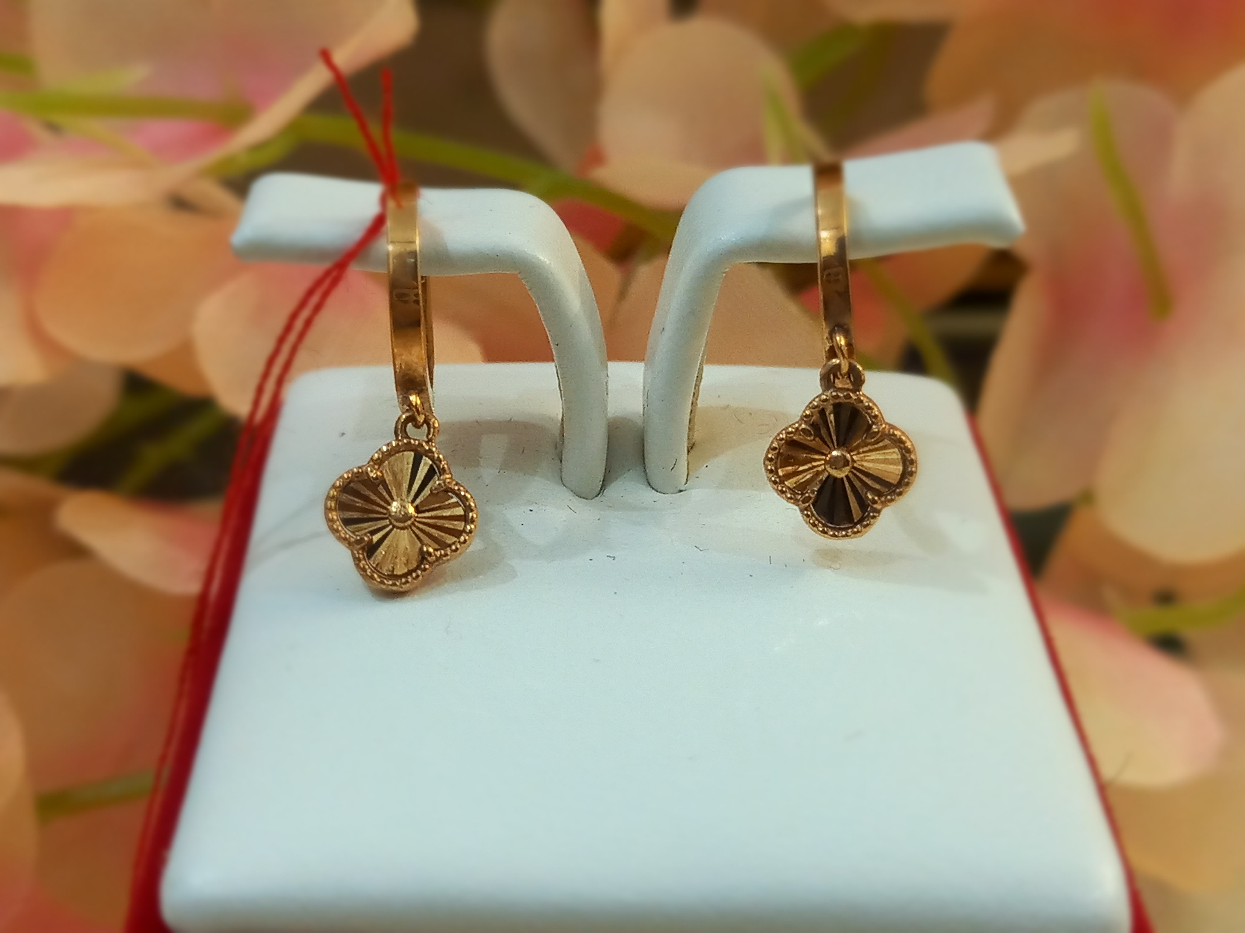 ANTING