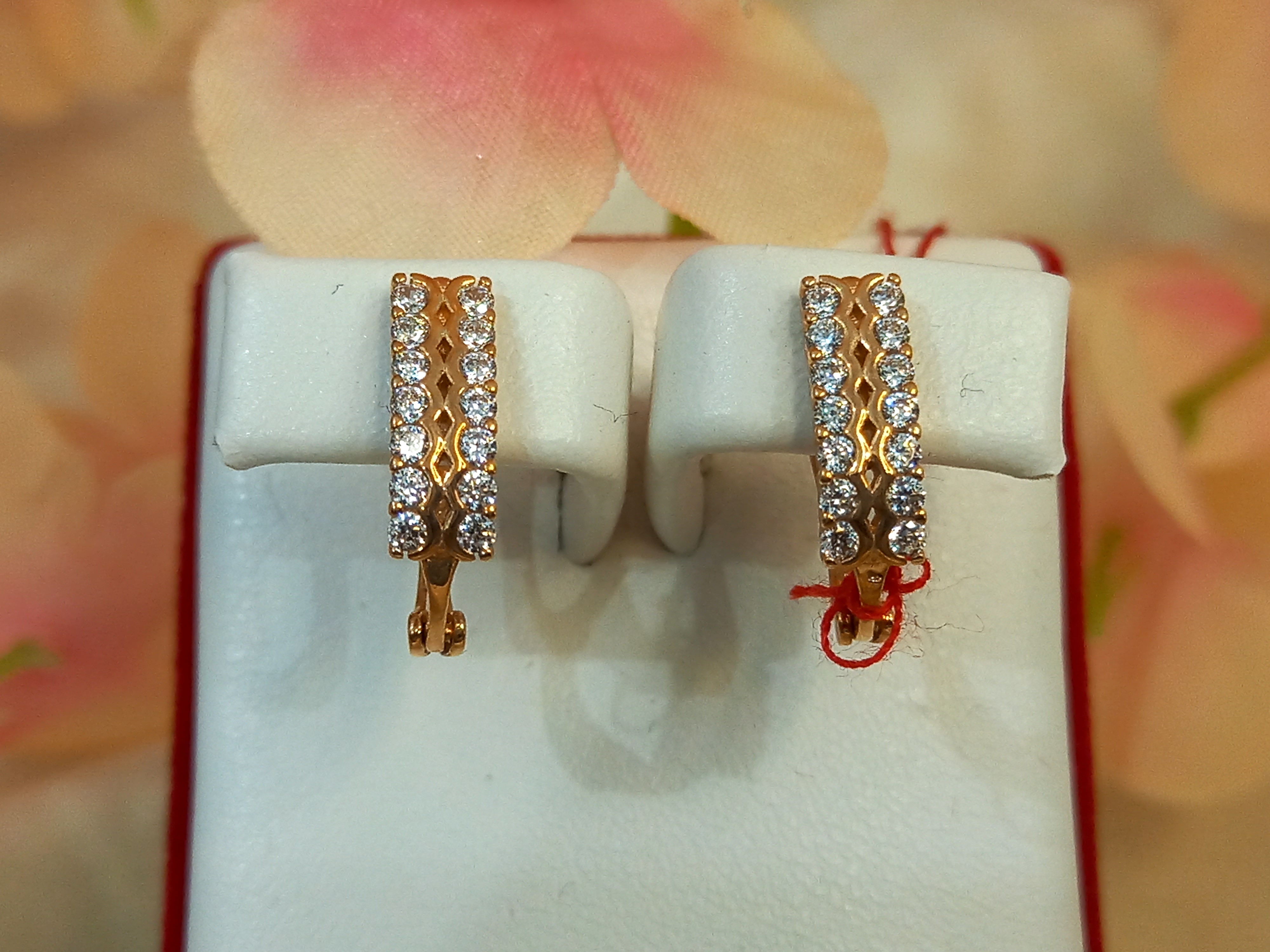 ANTING